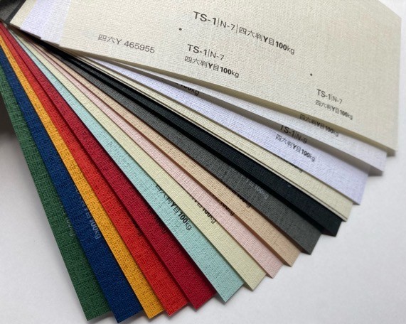 TS-1 タントセレクト 100kg 厚さ0.18mm A3/A4/B4/B5 - カラーペーパー 