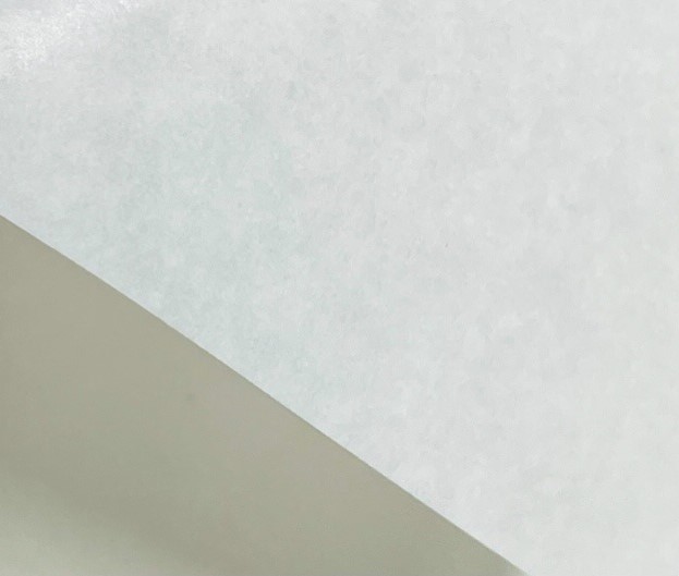 純白ロール紙 ホワイト印刷 A5サイズ 5枚 純白ロール紙 ホワイト印刷 A5サイズ 5枚