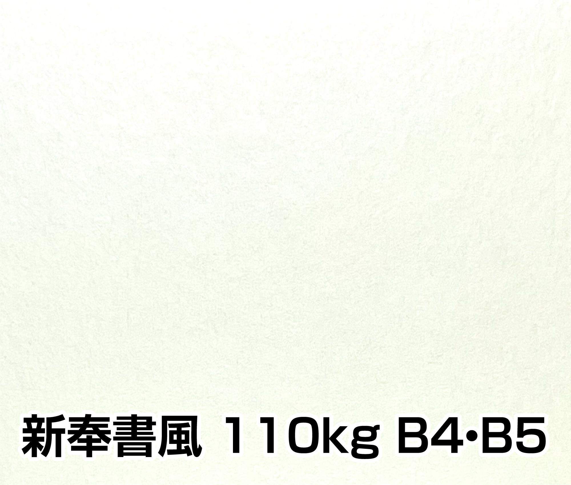 新奉書風 110kg A3・A4・B4・B5