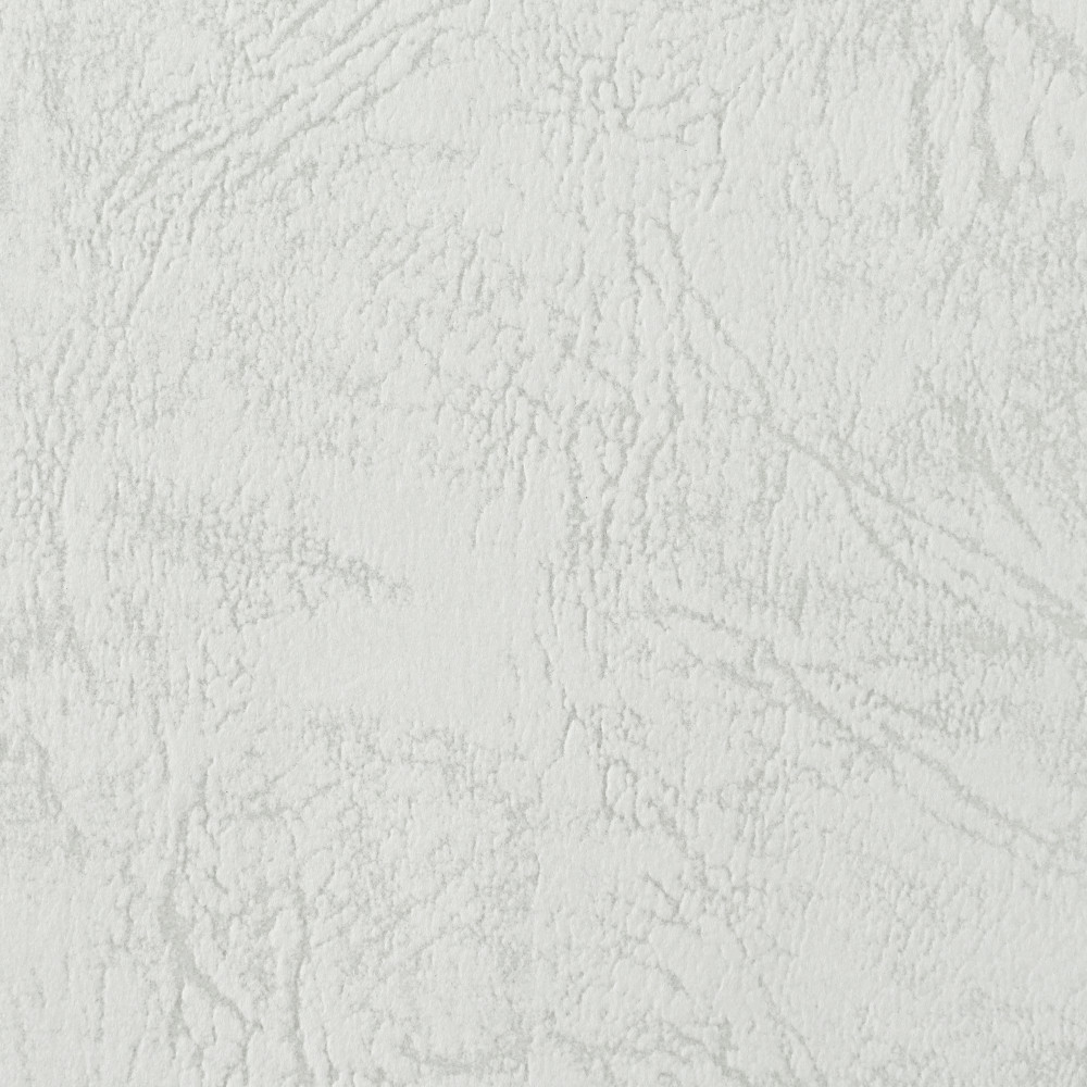 レザック66 100kg 厚さ0.13mm A3 A4 B4 B5